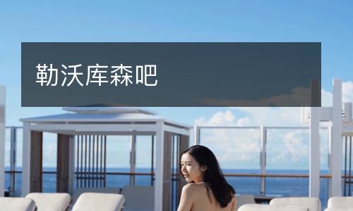 勒沃庫(kù)森吧